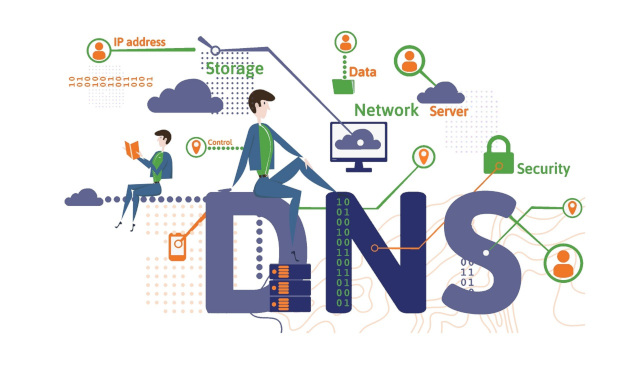 dns